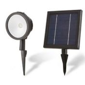 Blooma Poplar Black Solar-Powered LED Outdoor Spike Light - ER46