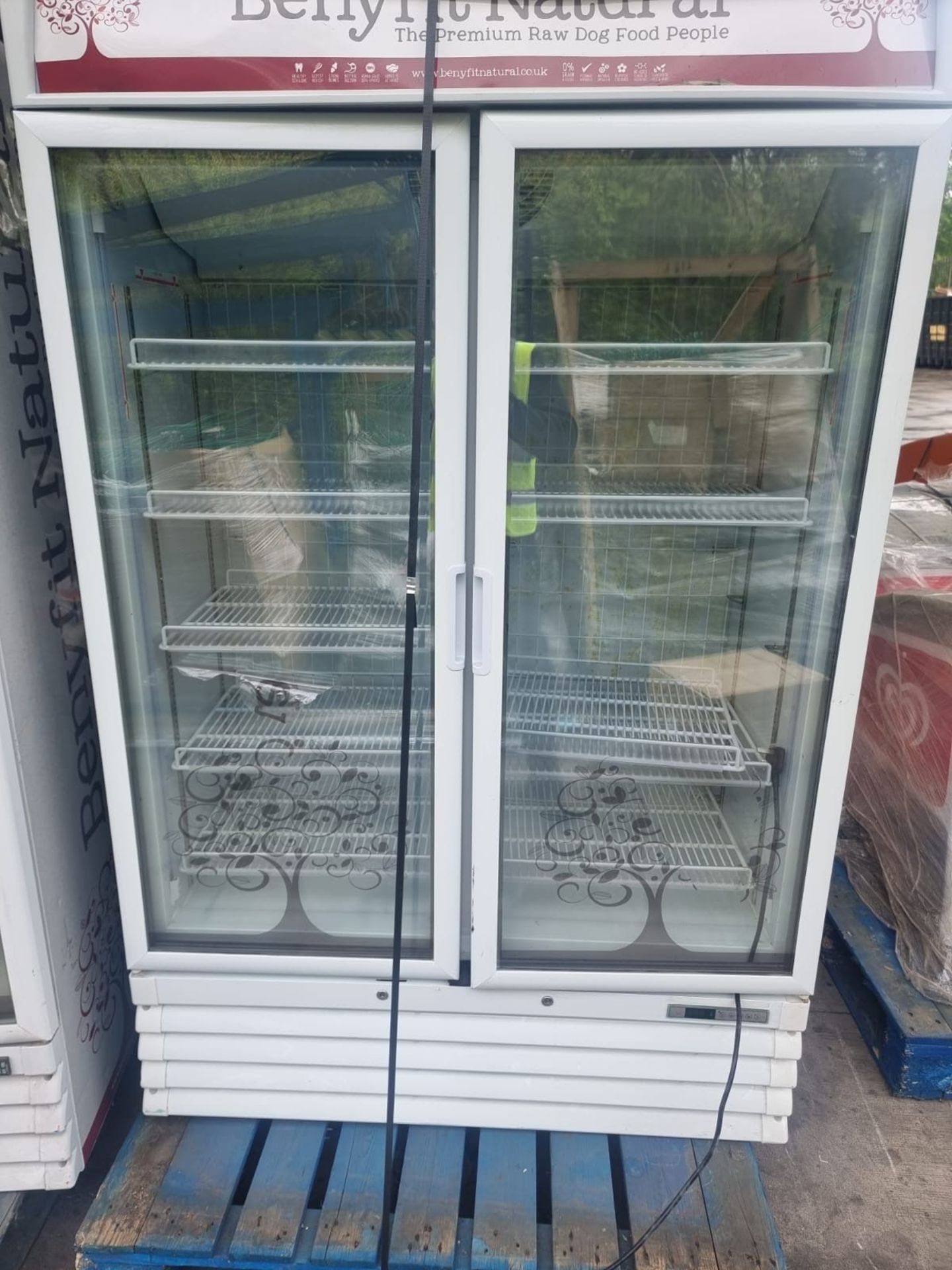 Large 2 Door Commercial Freezer