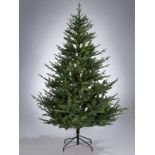 6ft Helsinki Pre-Lit Christmas Tree - ER27