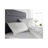 Hollowfibre Pillows - 2 Pack - ER22