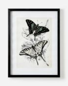 Set of 2 Piddix Butterflies Framed Wall Art - ER22