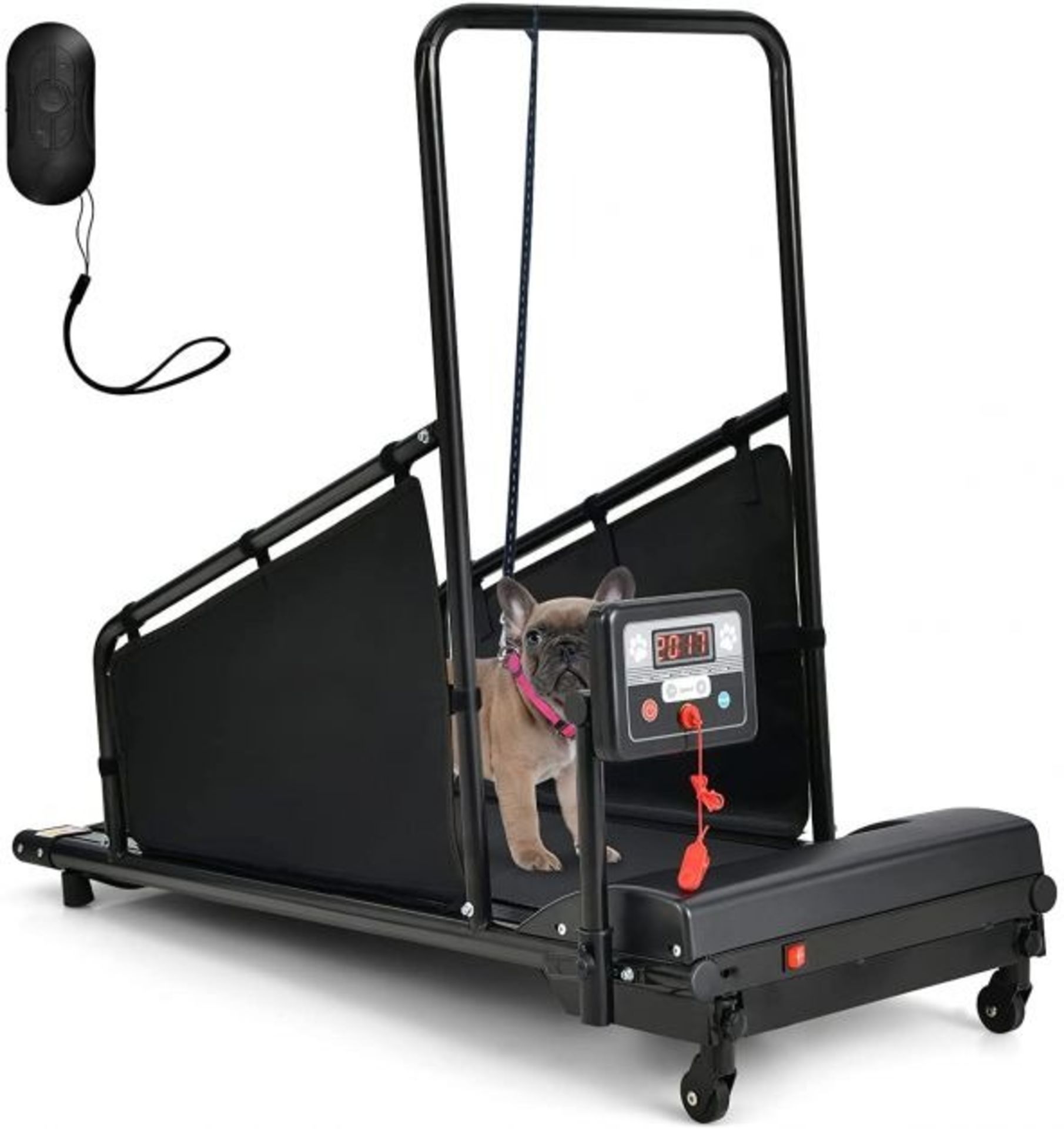 Dog Treadmill with Remote Control and Display Screen - ER53