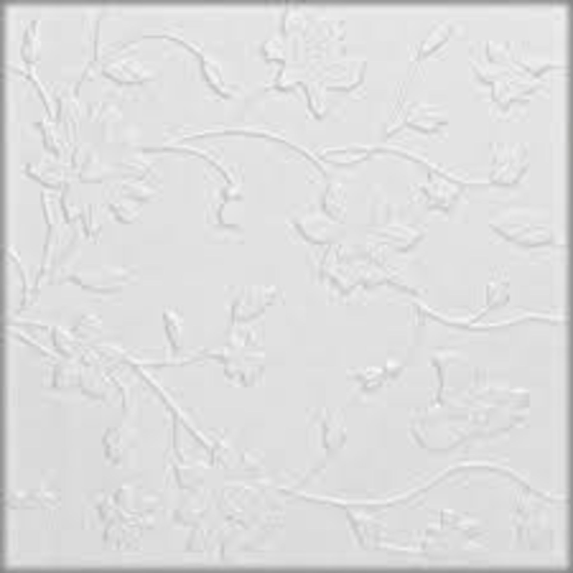 White 2: Decorative Ceiling and Wall Panels 2m2 - ER48