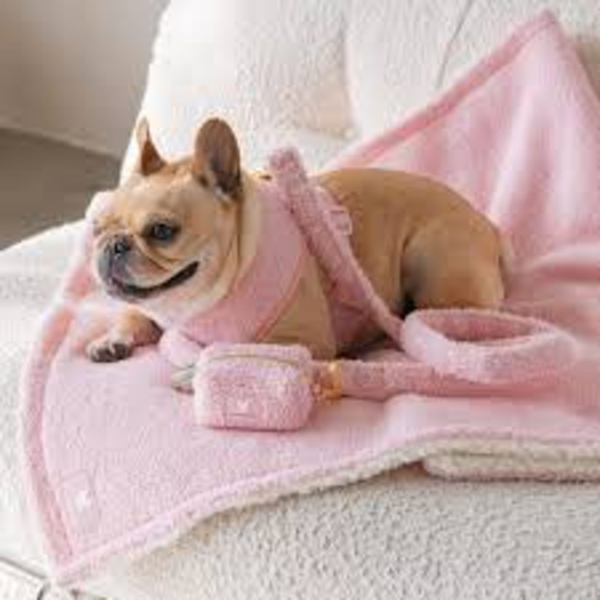 Trade Lot 100 X New & Packaged Frenchie The Bulldog Luxury Branded Dog Products. May include items - Image 32 of 50