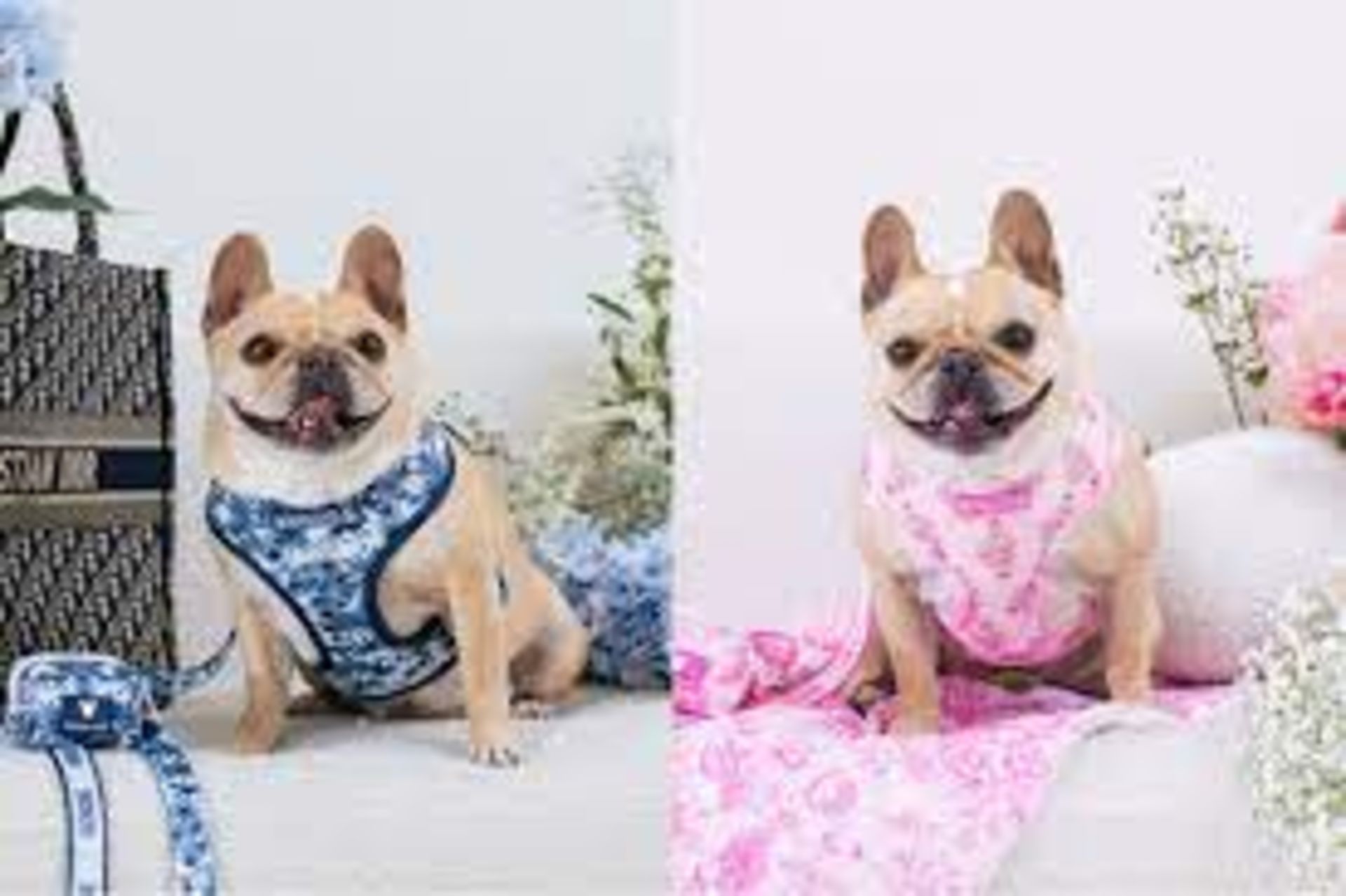 Trade Lot 100 X New & Packaged Frenchie The Bulldog Luxury Branded Dog Products. May include items - Bild 36 aus 50