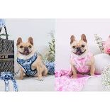 Trade Lot 50 X New & Packaged Frenchie The Bulldog Luxury Branded Dog Products. May include items
