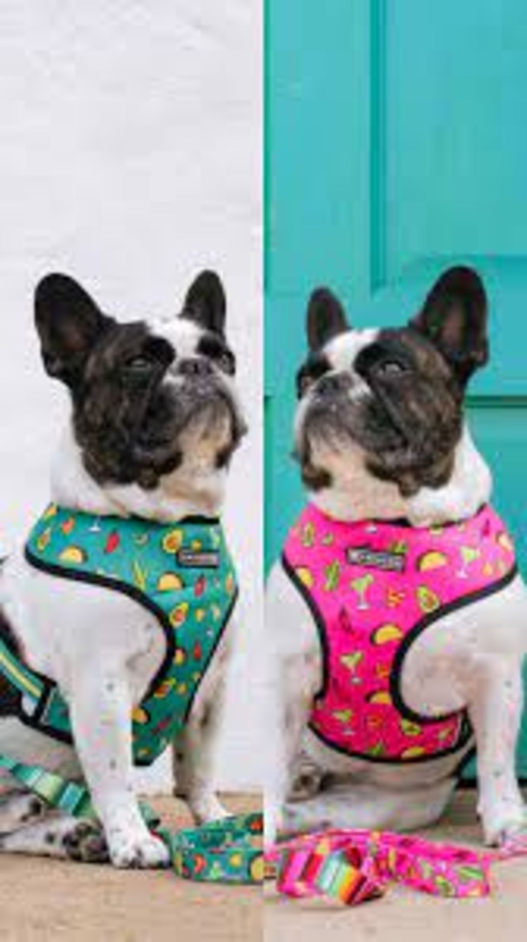 Trade Lot 100 X New & Packaged Frenchie The Bulldog Luxury Branded Dog Products. May include items