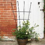 1.2 Metre Fan Pot Trellis, Plastic Coated Steel Outdoor Decorative Plant Support - ER41