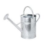 2 x WATERING CAN WITH ROSE 12LTR (6562X). - PW.