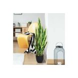 GiantexUK 93cm Fake Sansevieria, Artificial Snake Plant. -R14.14.