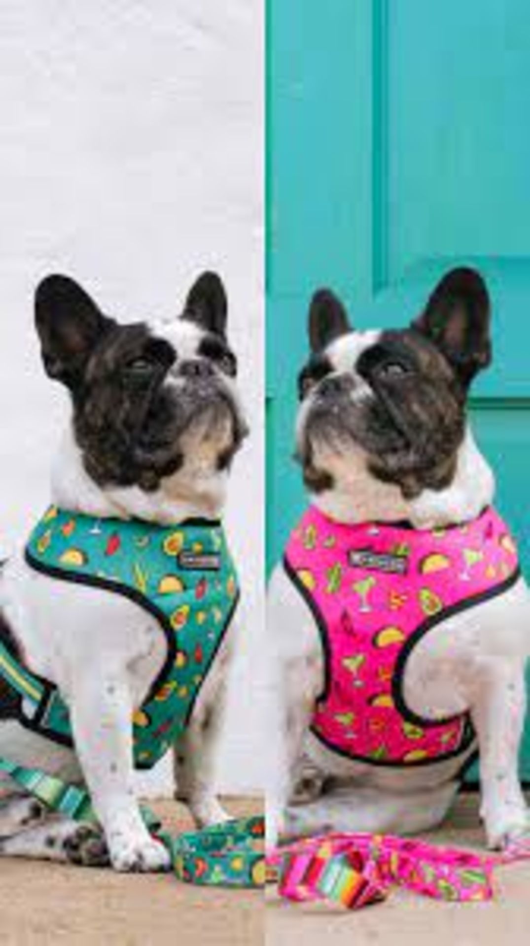 Trade Lot 50 X New .Packaged Frenchie The Bulldog Luxury Branded Dog Products. May include items - Image 14 of 50