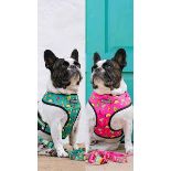 Trade Lot 100 X New .Packaged Frenchie The Bulldog Luxury Branded Dog Products. May include items