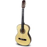 Martin Smith W-590-N Classical Acoustic Guitar - ER21