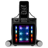 Bluetooth Karaoke Speaker With Dual Microphones RockJam Broken USB Charging Port - ER22