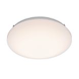 Charlie 28cm LED Flush Bathroom Ceiling Light - ER25