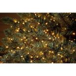 1000 LED Timer Compact String Christmas Tree Lights - Warm White - ER26