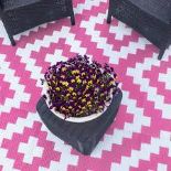 Valiant Outdoor Patio And Decking Rug Geometric Pink (12ft x 9ft . - R13a.12.