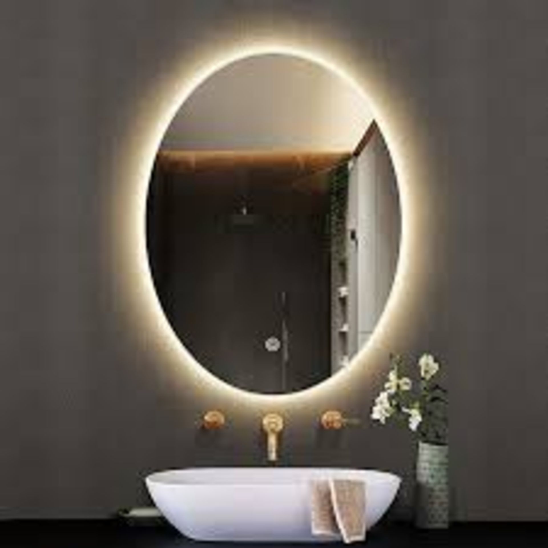 DEENZ 70X50 Cm LED Oval Lighted Bathroom Wall Mirror. - R14.9.