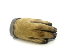 Victorian taxidermy interest otters paw brooch dated 1898. and marked BDH, possibly Braes