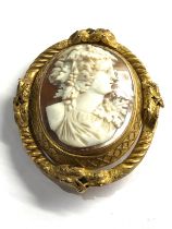 Large Antique gilt metal framed cameo brooch of dionysus 7 x 5.5cm