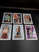 Collection of 18 WWE/WWF Wrestling Divas Photographs with Facsimile Signatures, in good Condition.