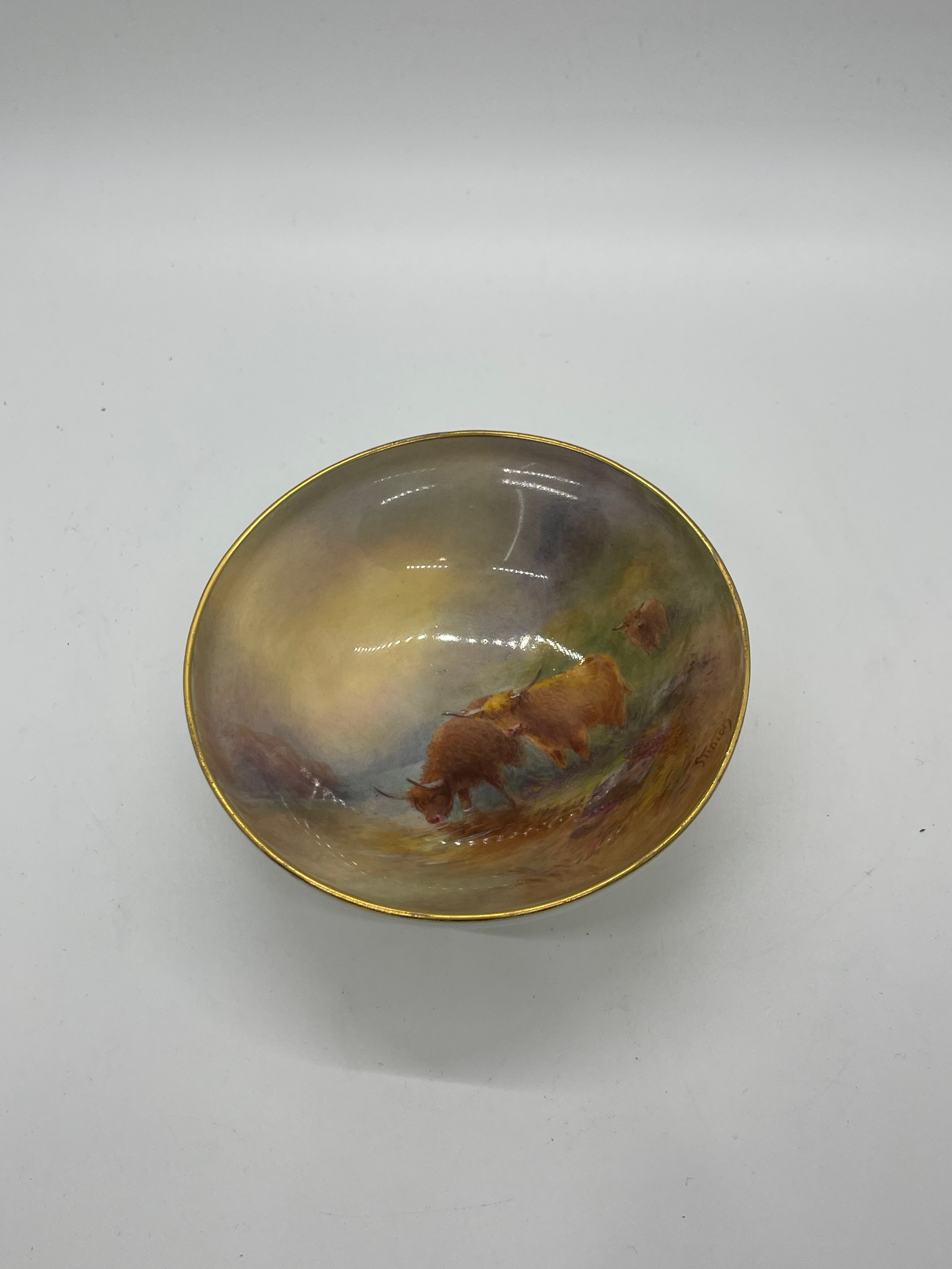 Hand painted Royal Worcester bowl Highland Cattle signed Stinton Puce Mark. - Bild 2 aus 5