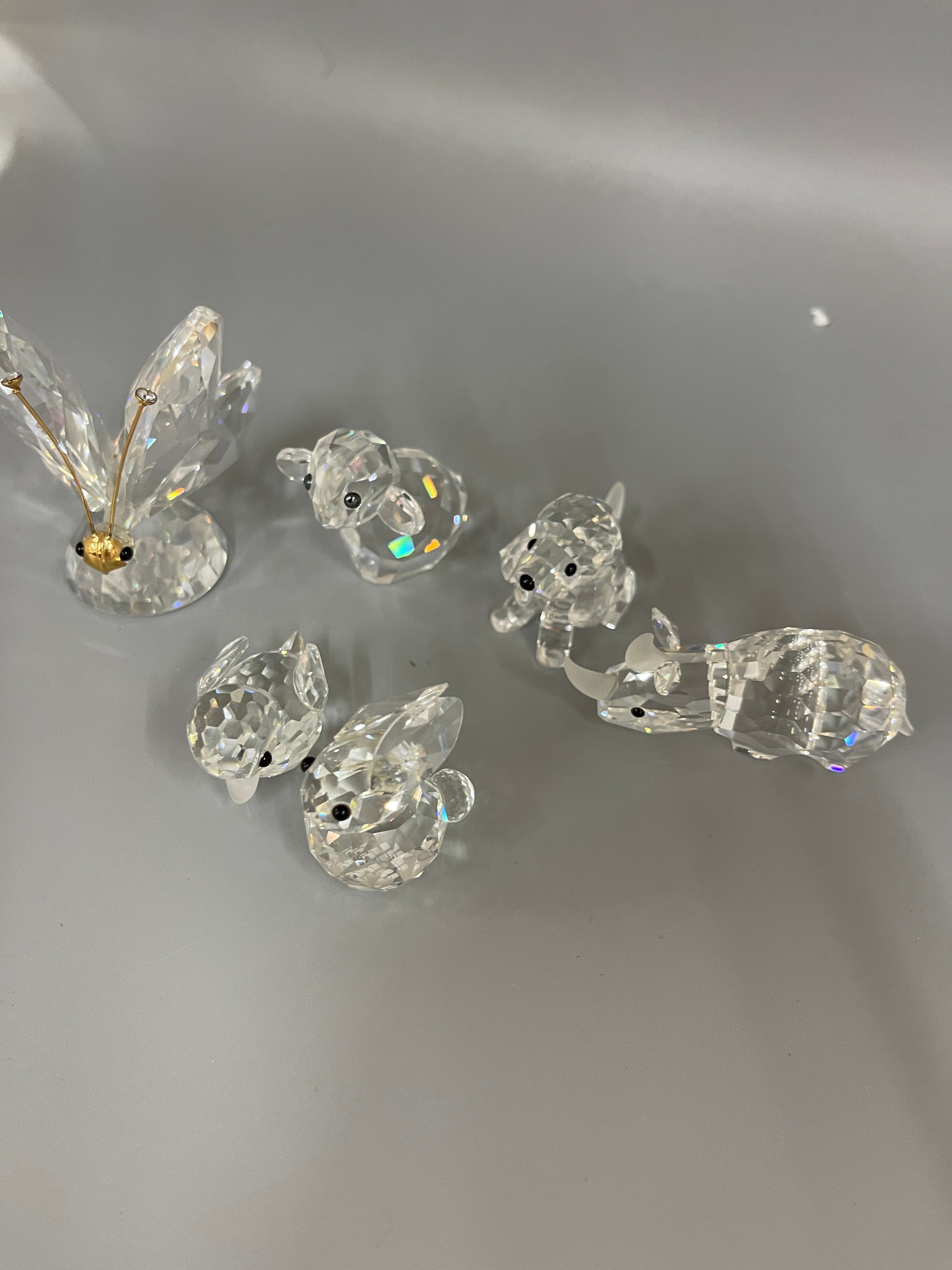 Selection of 6 Swarvoski glass figures includes Butterfly, lamb, rhino etc - Image 4 of 4
