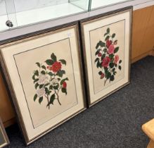 Pair of framed prints depicting flowers by John and Arthur Arch, Cornhill measures approx 32