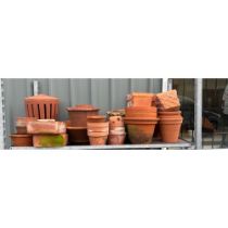 Large shelf of Terracotta plant pots various sizes