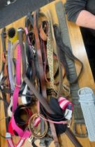 Selection of assorted belts include Calvin Klein, Lacoste etc