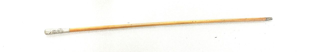 Prince of Wales Reg swagger stick