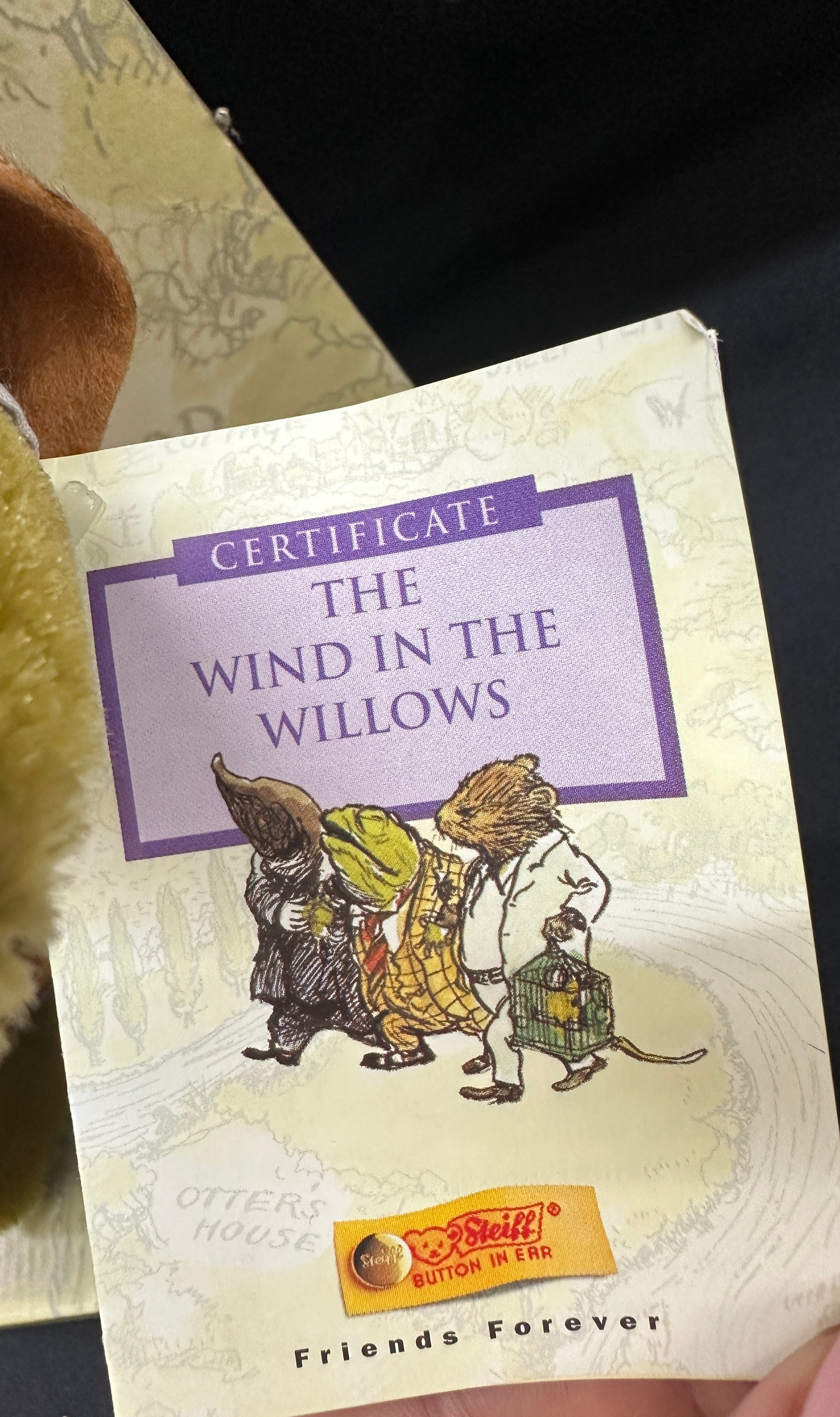 Steiff Wind in the Willow - Toad With Certificate, original box and stand - Image 4 of 5