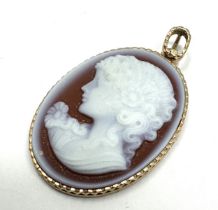 9ct gold framed hard stone cameo pendant measures approx 4cm drop by 2.3cm wide weight 5.5g