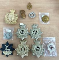 Lot of 12 x different, mainly British army Victorian perion helmet plates