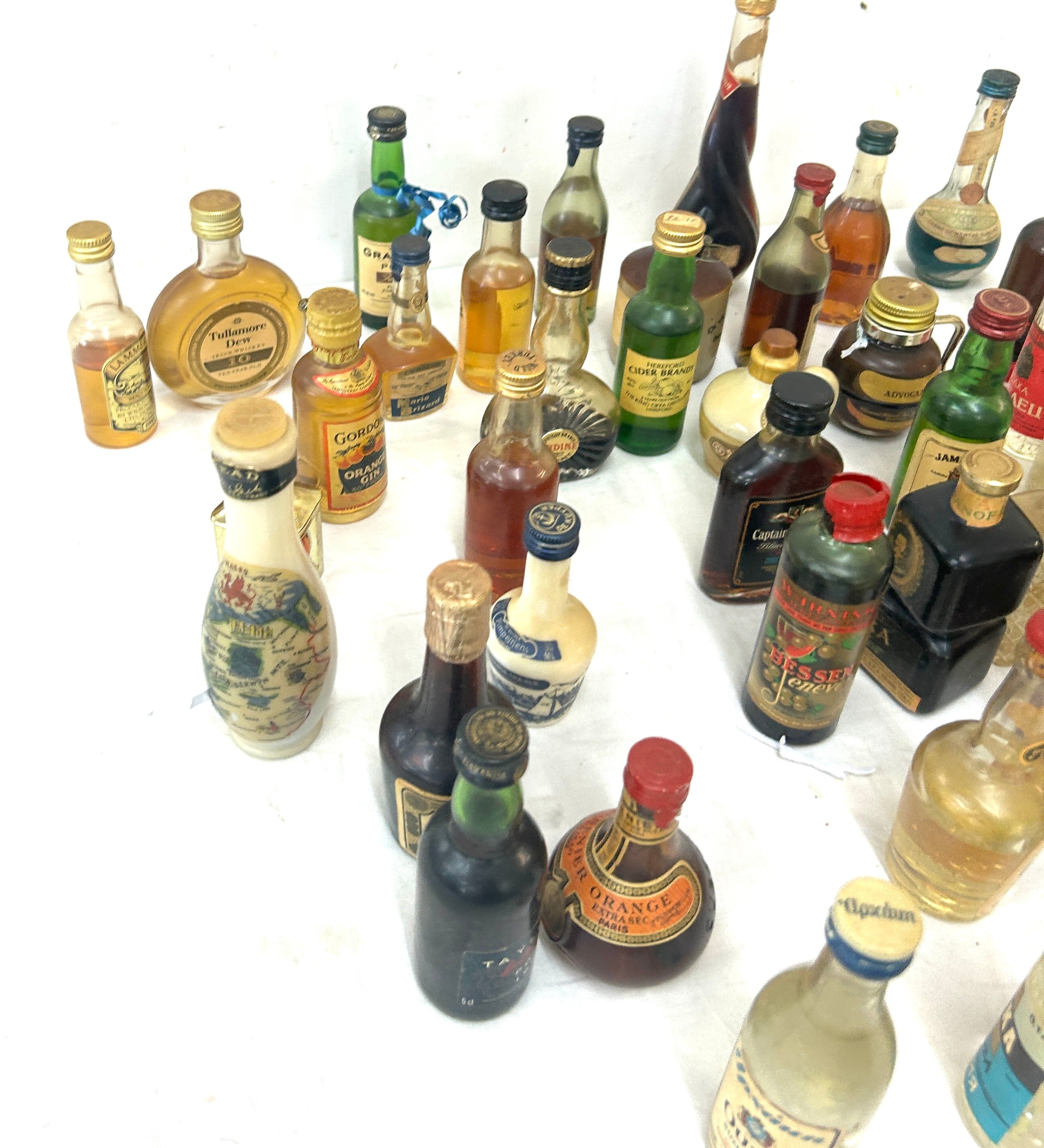 Selection of miniature alcohols to include port, rum, vodka etc - Image 4 of 4