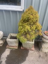 Pair of concrete plant stands, measures approximately 11 inches tall, 12 inches square