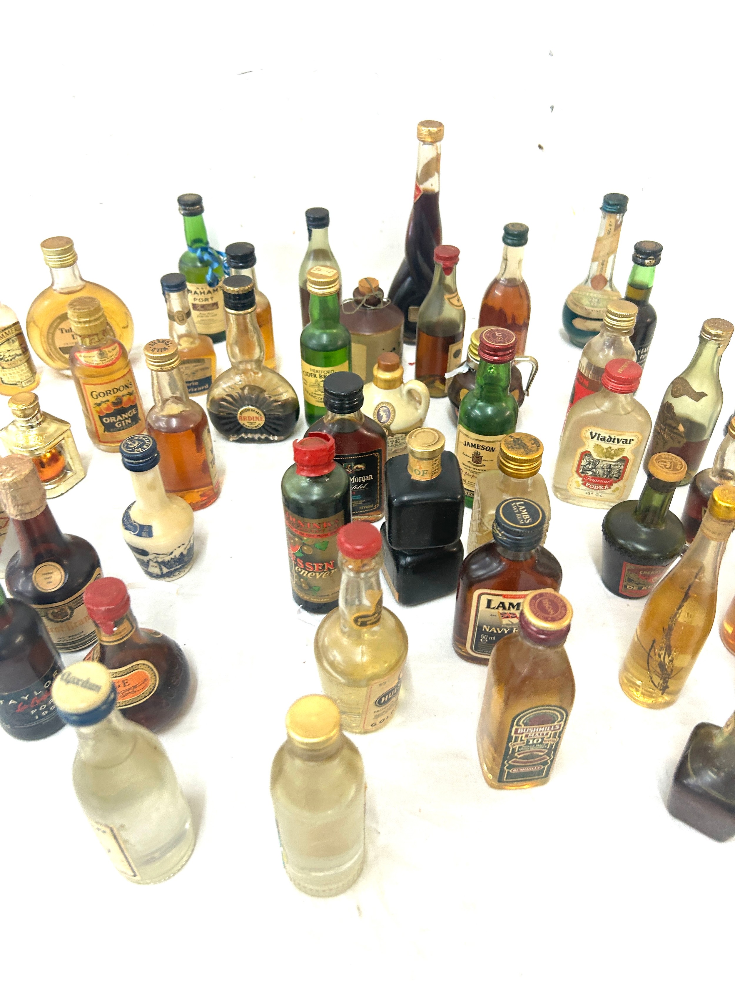 Selection of miniature alcohols to include port, rum, vodka etc - Image 3 of 4