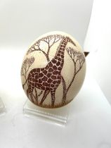 Two Ostrich eggs one hand painted depicting a giraffe