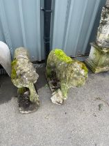 Pair of Victorian concrete lion garden ornaments measures approx 11 inches by 16 inches by 26 inches