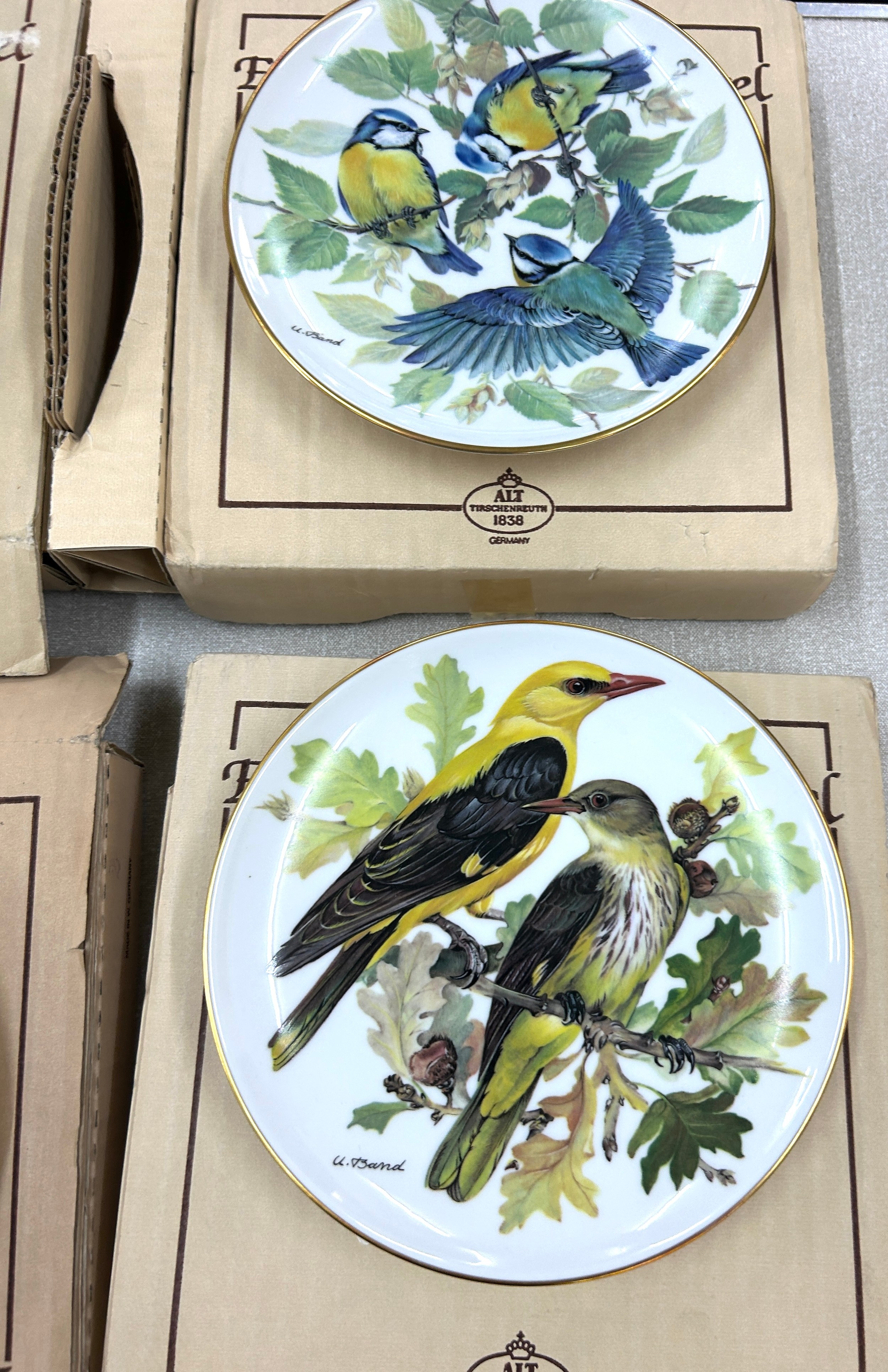 Set of 8 German ALT Tirschenreuth hand painted birds collectors plate - Image 2 of 6