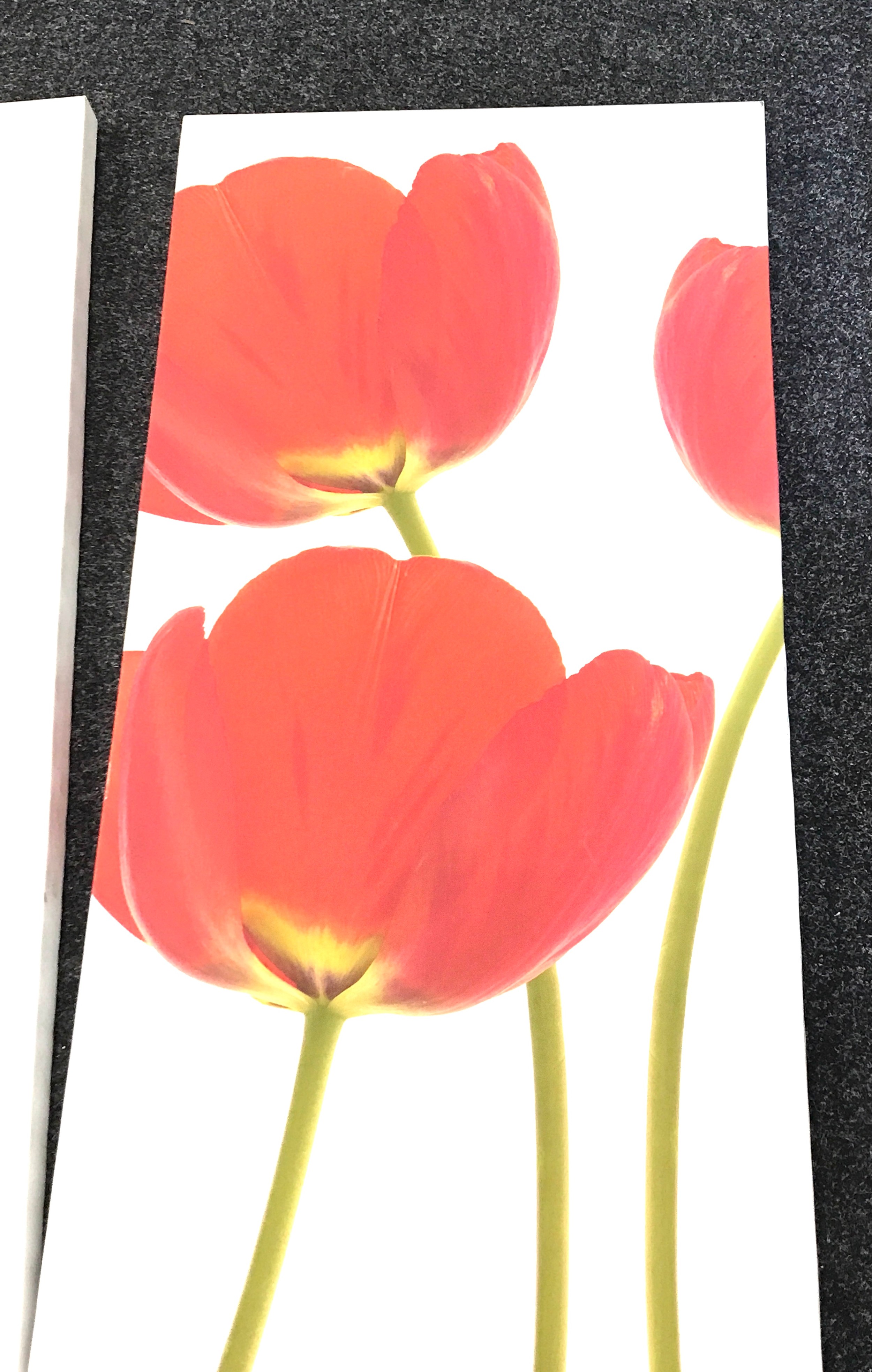 Set of three poppy scene canvases measures approximately 43 inches tall 21 inches wide - Image 2 of 3