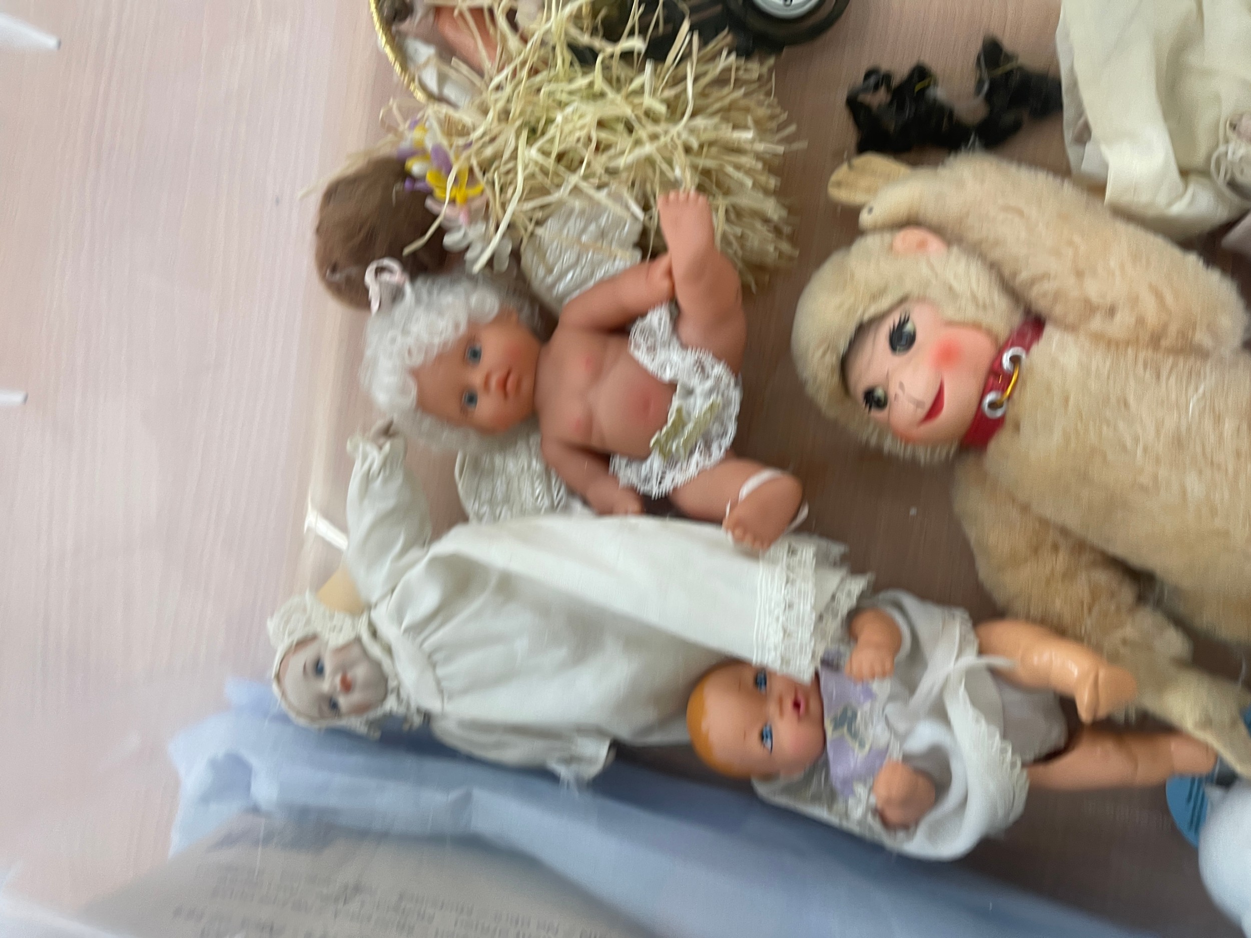 Large selection of assorted teddies and dolls includes Pot etc - Image 6 of 9