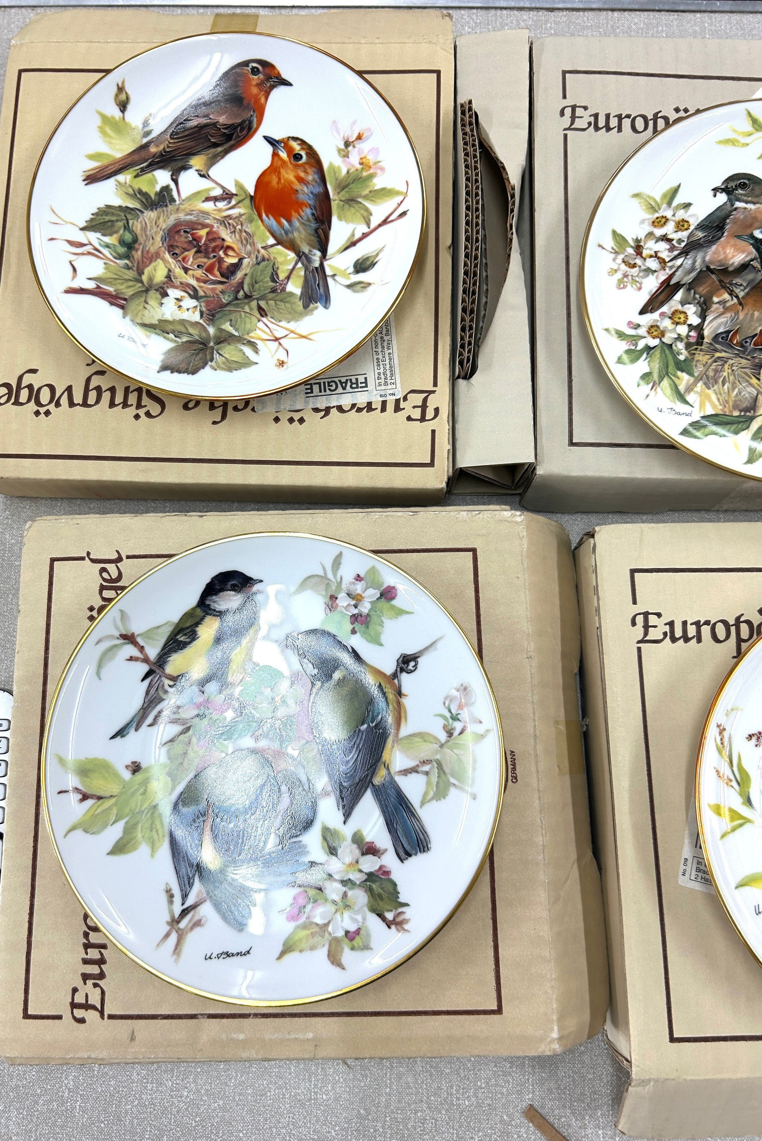 Set of 8 German ALT Tirschenreuth hand painted birds collectors plate - Image 5 of 6
