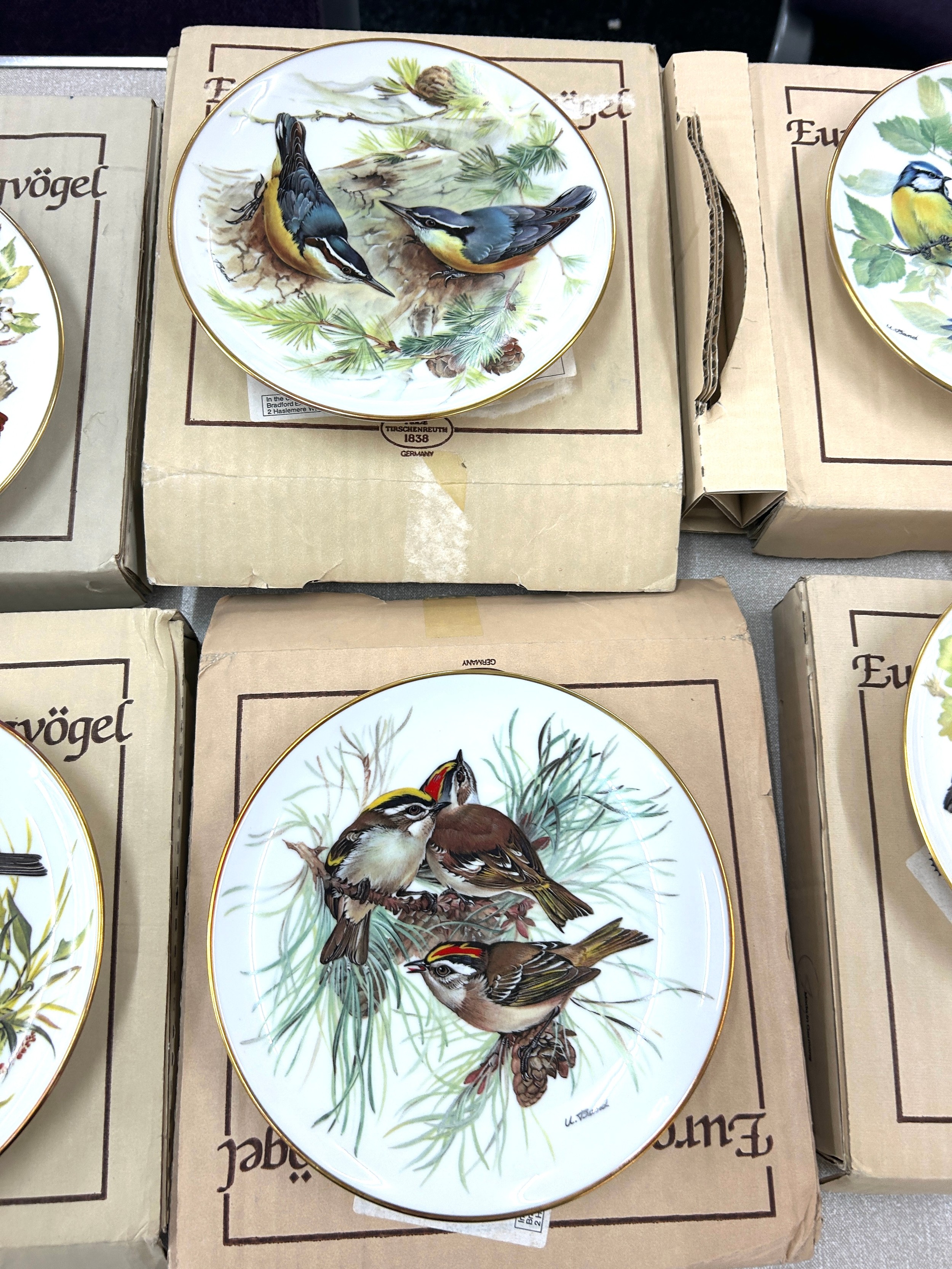Set of 8 German ALT Tirschenreuth hand painted birds collectors plate - Image 3 of 6