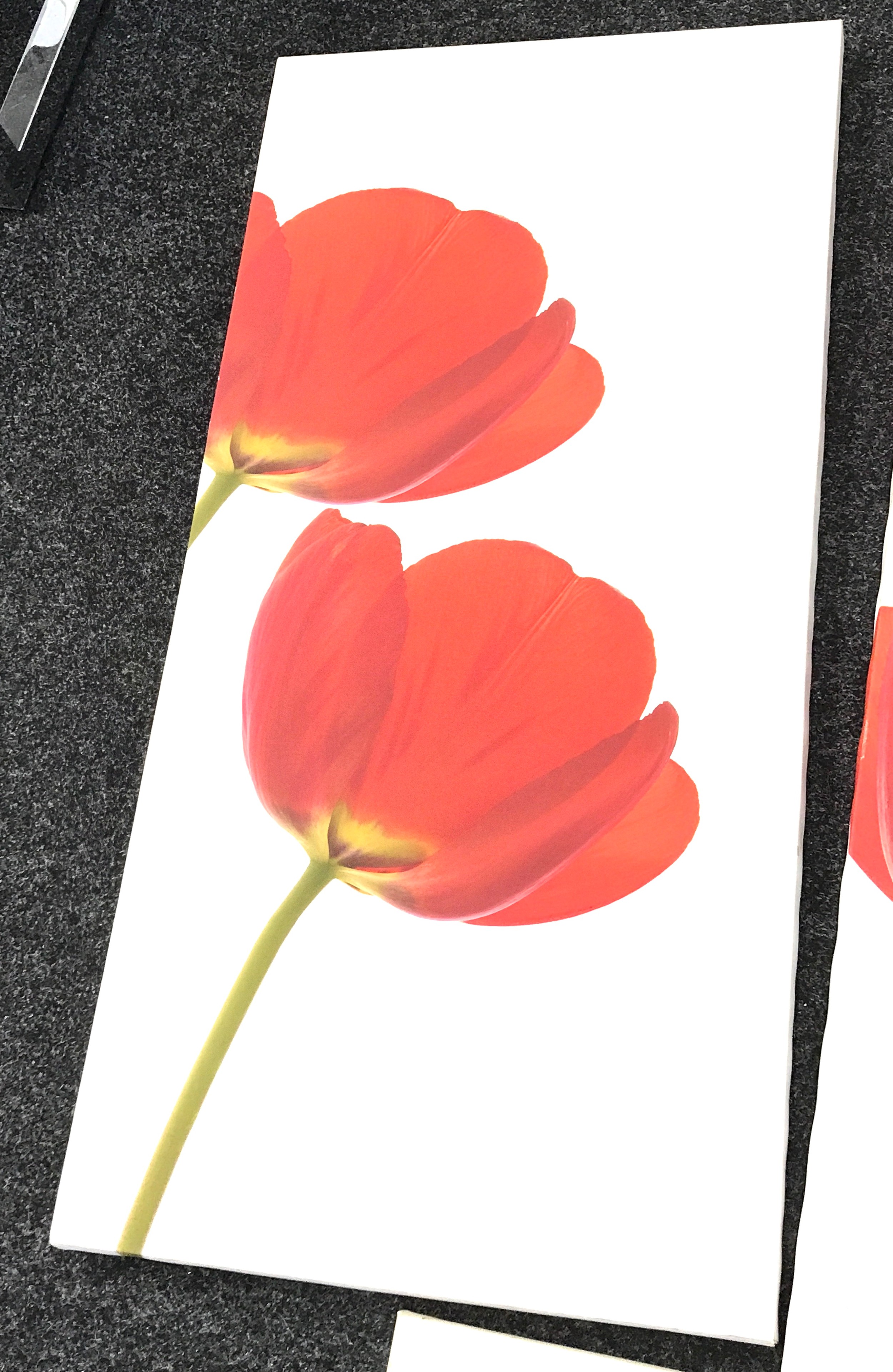 Set of three poppy scene canvases measures approximately 43 inches tall 21 inches wide - Image 3 of 3