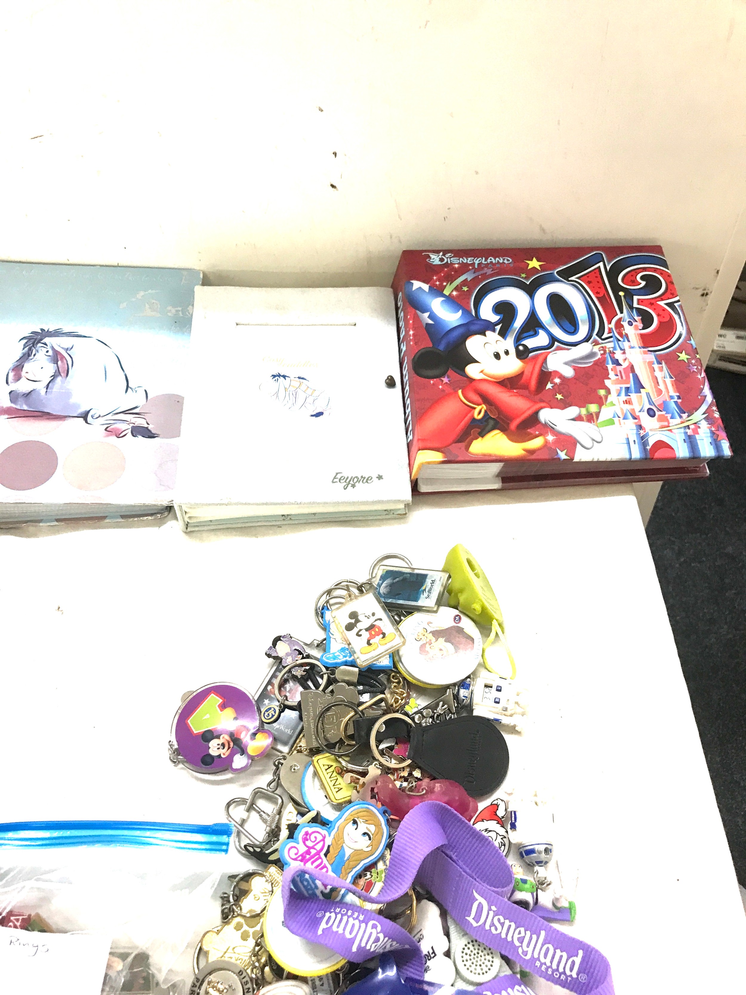 Selection of USA key rings, Disney key rings, 5 photo albums - Image 3 of 4