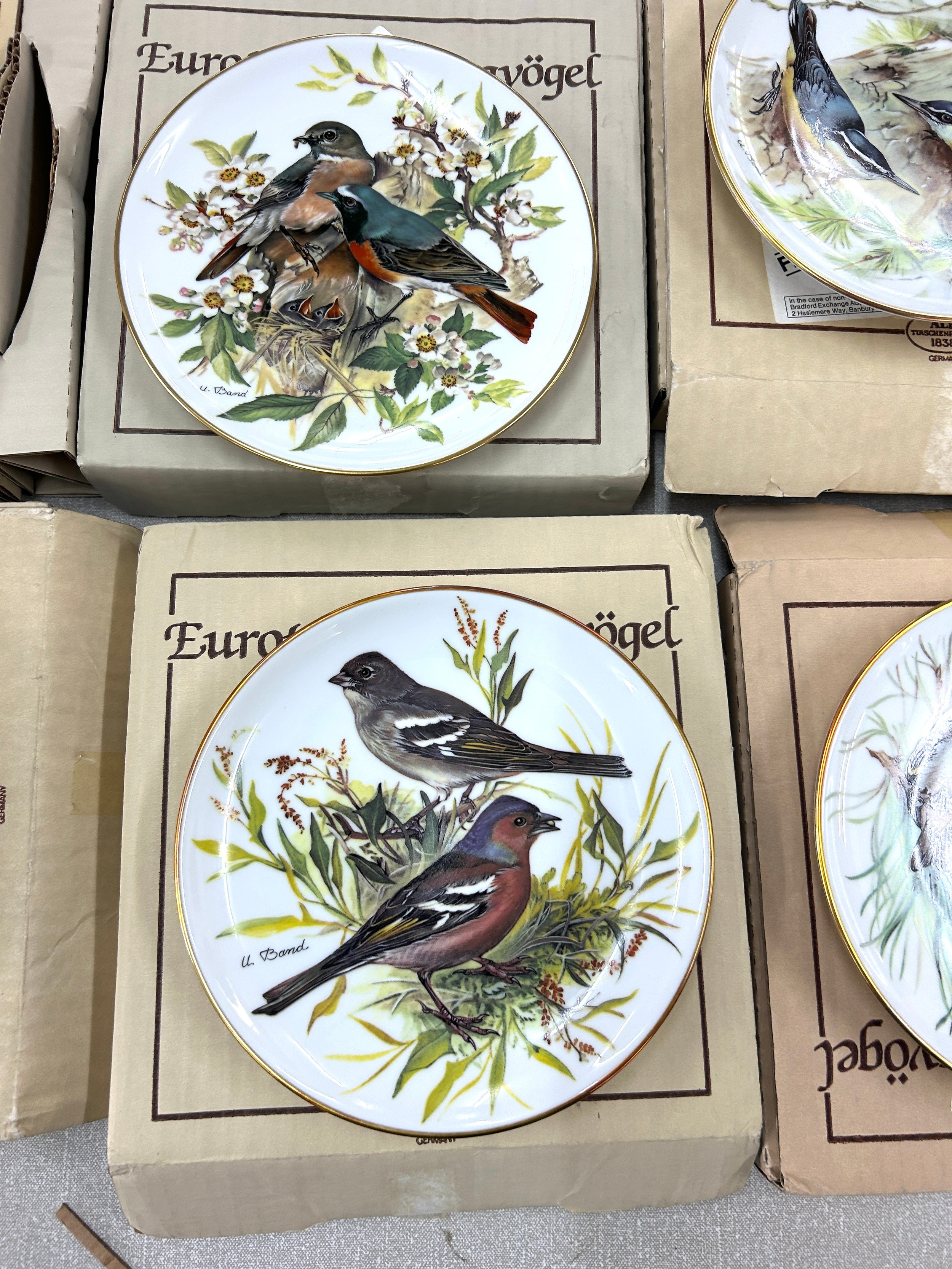 Set of 8 German ALT Tirschenreuth hand painted birds collectors plate - Image 4 of 6