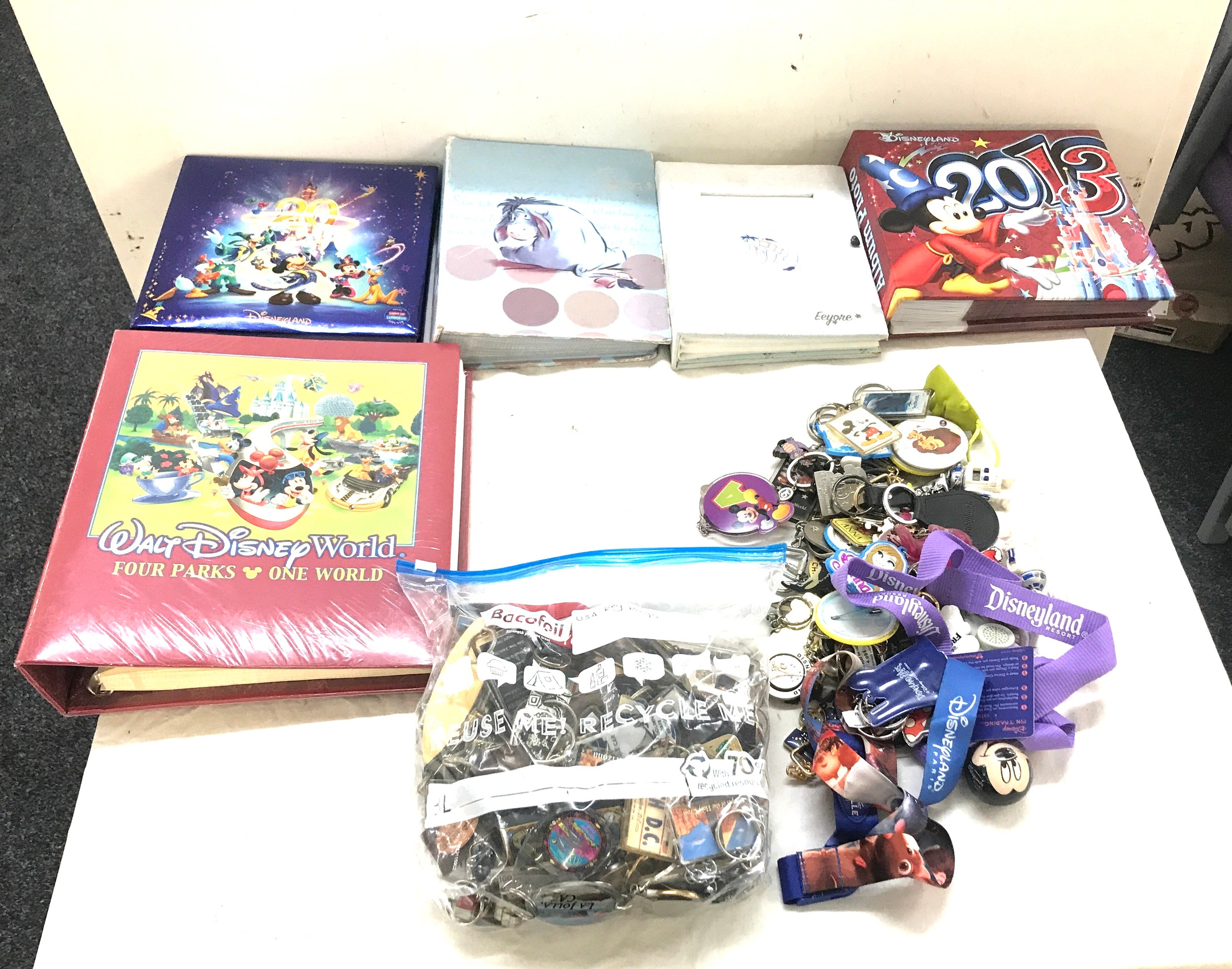 Selection of USA key rings, Disney key rings, 5 photo albums