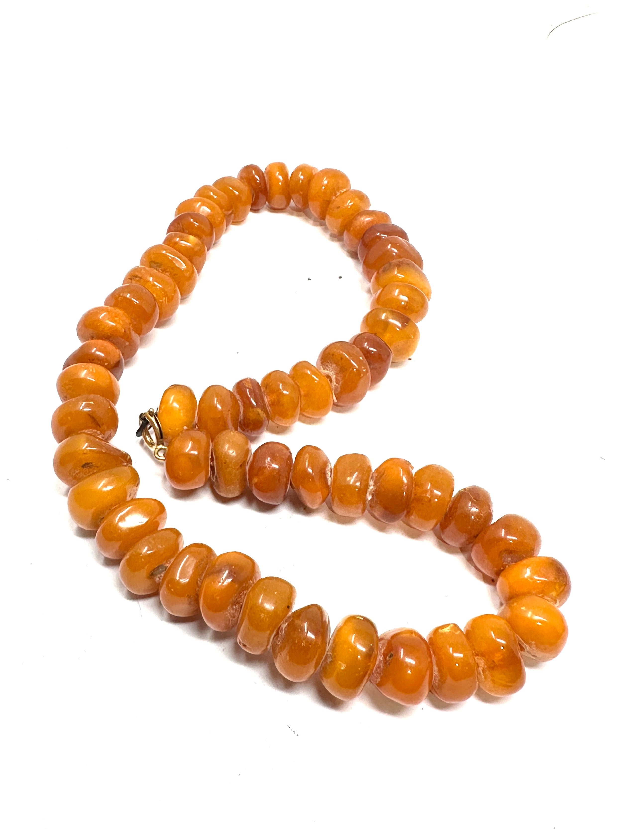 Egg yolk amber bead necklace weight 65g - Image 5 of 5