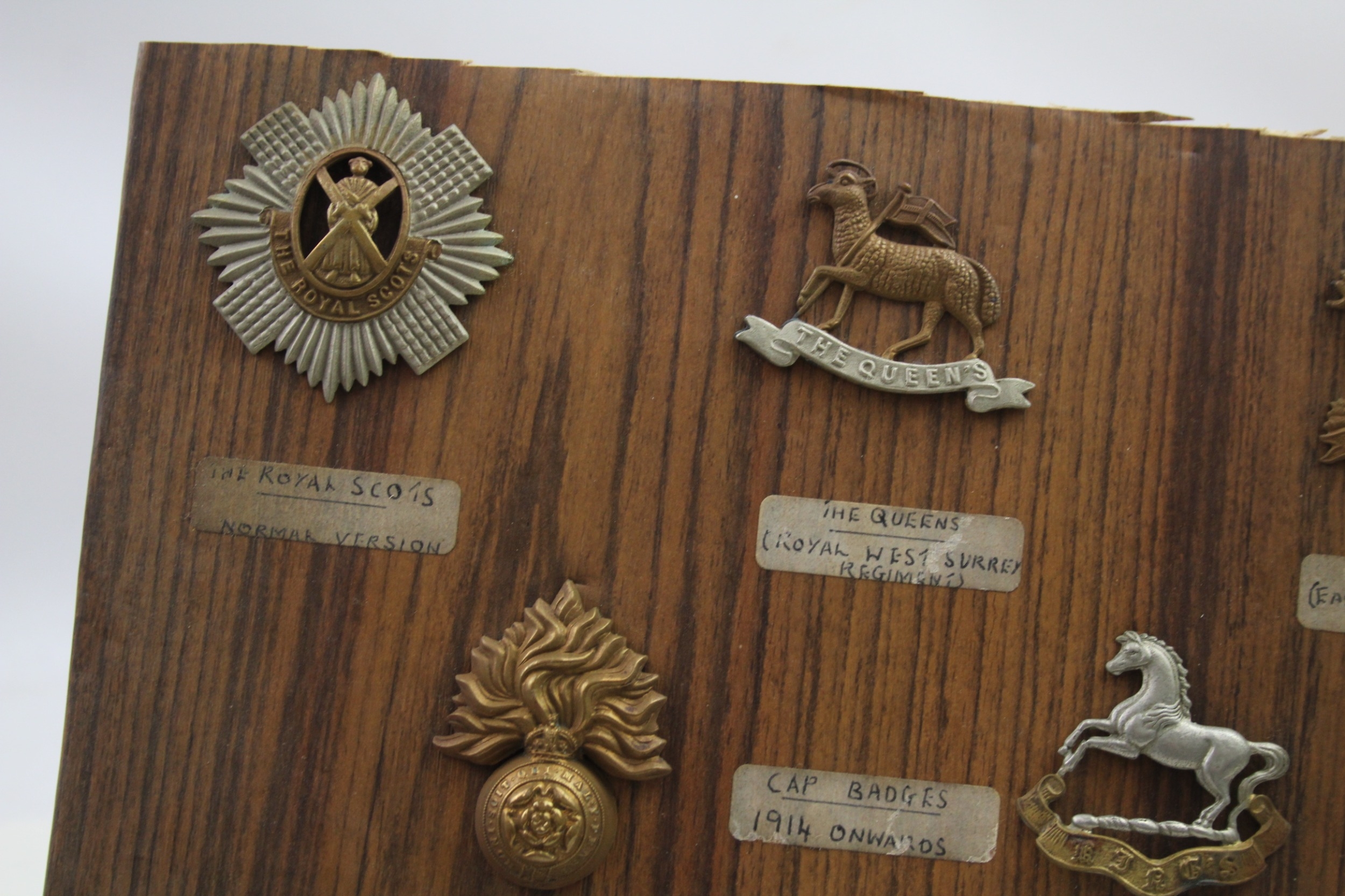 Mounted Military Cap Badges x 16 inc. Irish Scottish Royal Warwickshire Regt - Image 9 of 12